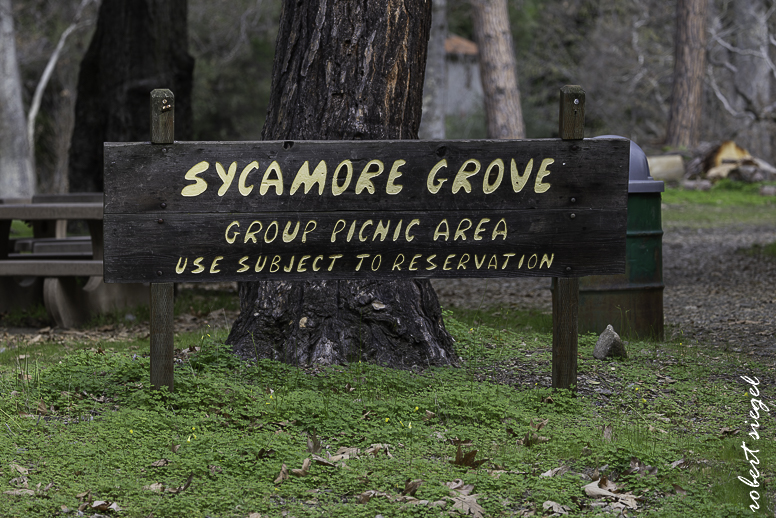 alum rock state park